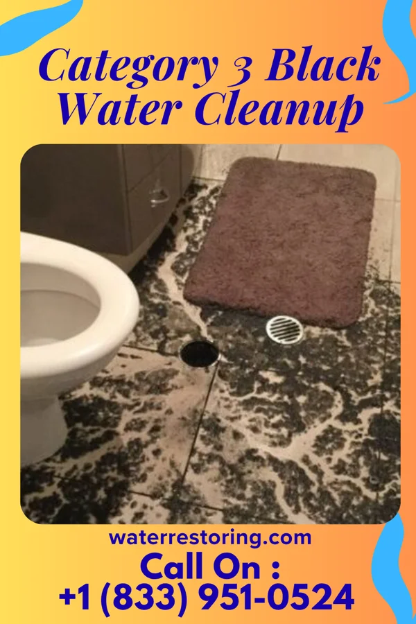 Category 3 Black Water Cleanup in Elma, WA