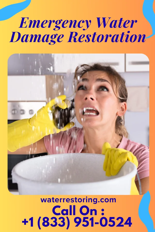 Emergency Water Damage Restoration in Elma, WA
