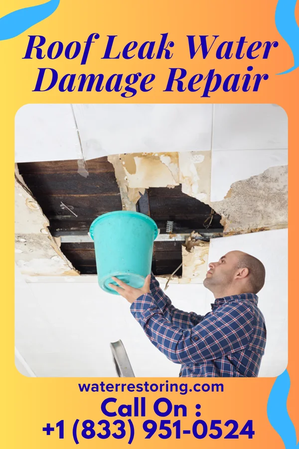 Roof Leak Water Damage Repair in Elma, WA